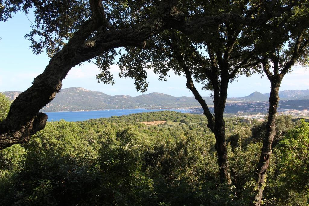 Hotel Les Hauts De Porto-Vecchio Ruang foto